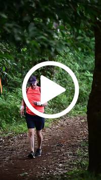 BIB:  <button type="button" onclick="openModal(27290503)" class="btn btn-primary btn-sm float-right" data-toggle="modal" data-target=".modal-high-quality">
                <i class="fa fa-download"></i> Download
                </button>